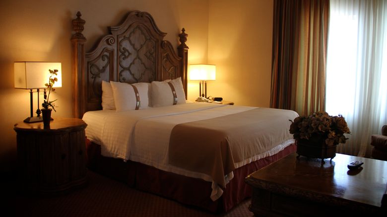 <b>Holiday Inn Reynosa Zona Dorada Suite</b>. Images powered by <a href="https://www.leonardoworldwide.com/" title="Leonardo Worldwide" target="_blank">Leonardo</a>.