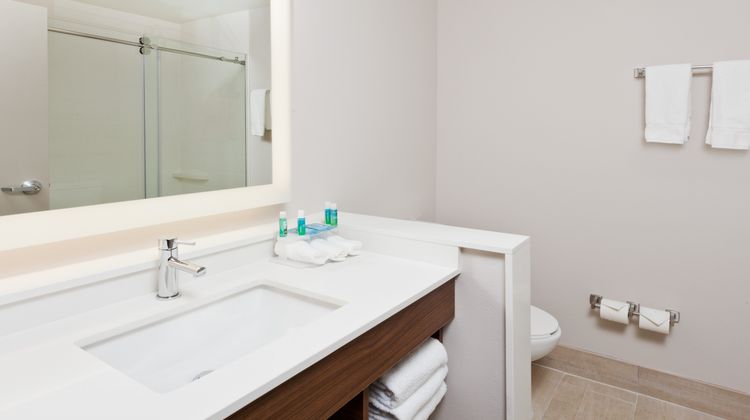 Holiday Inn Express/Suites Cartersville Room