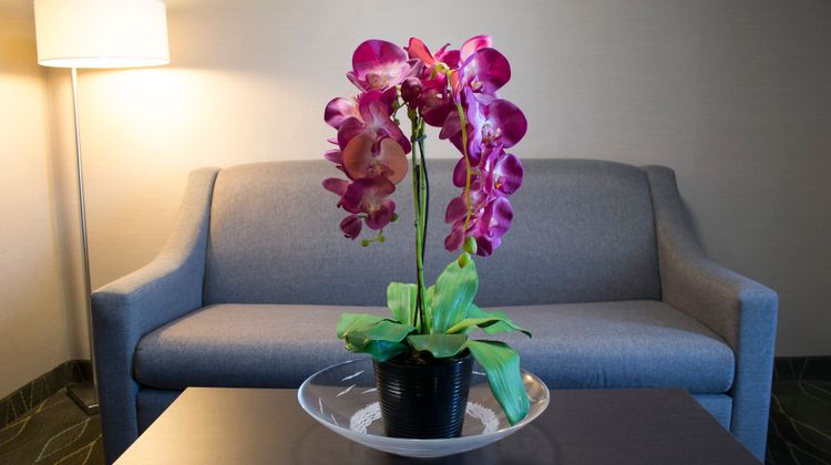 Holiday Inn Sudbury Room