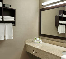Holiday Inn Expres/Suites Downtown Room