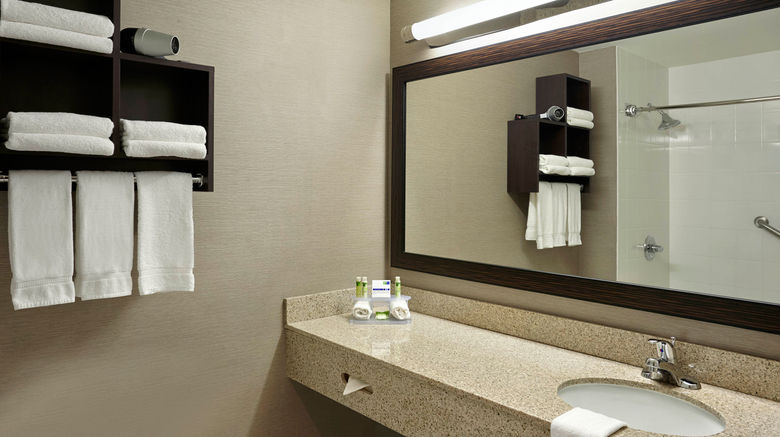 <b>Holiday Inn Expres/Suites Downtown Room</b>. Images powered by <a href="https://www.leonardoworldwide.com/" title="Leonardo Worldwide" target="_blank">Leonardo</a>.
