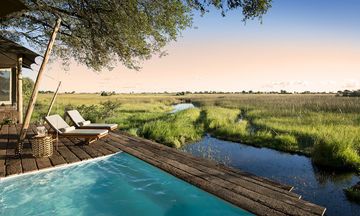 Duba Plains Camp