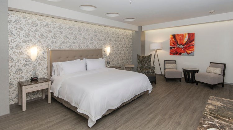 Holiday Inn Express Mexico-Toreo Suite
