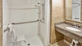 Holiday Inn Detroit Metro Airport Room