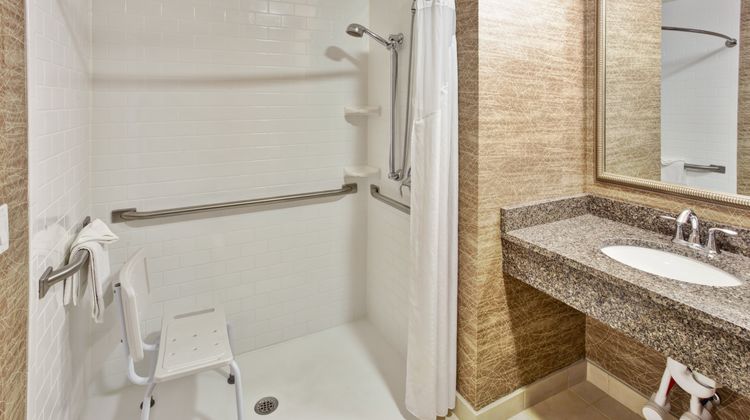 Holiday Inn Detroit Metro Airport Room