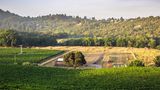 <b>SingleThread Farm Exterior</b>. Images powered by <a href="https://www.leonardoworldwide.com/" title="Leonardo Worldwide" target="_blank">Leonardo</a>.