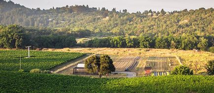 SingleThread Farm Exterior