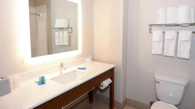 Holiday Inn Express Hotel & Suites Room