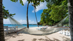 Calabash Grenada