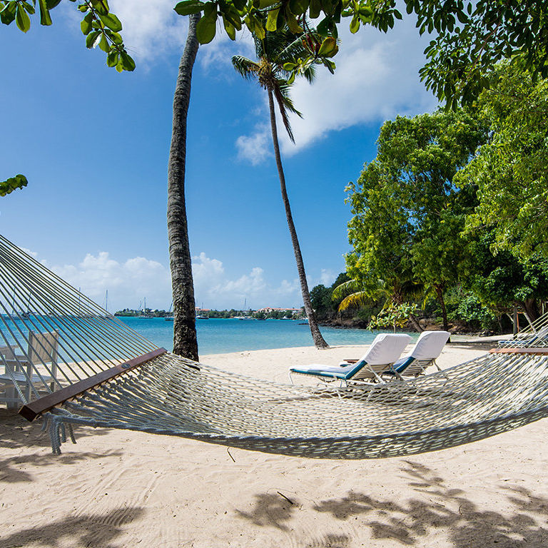 Calabash Grenada