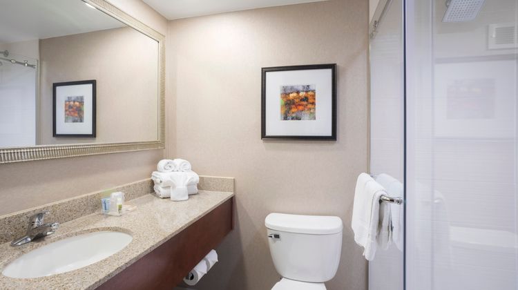 Holiday Inn Cincinnati-Riverfront Room
