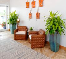 Hotel Indigo Orange Beach Gulf Shores Lobby