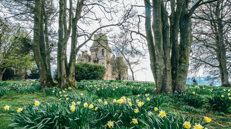 Cornhill Castle Other
