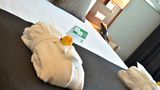 <b>Holiday Inn Bursa City Centre Room</b>. Images powered by <a href="https://www.leonardoworldwide.com/" title="Leonardo Worldwide" target="_blank">Leonardo</a>.