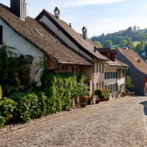 Hotel Krone Regensberg