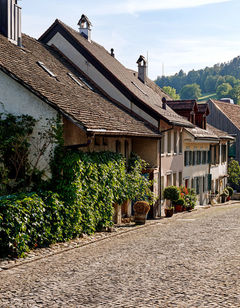 Hotel Krone Regensberg