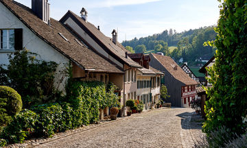 Hotel Krone Regensberg