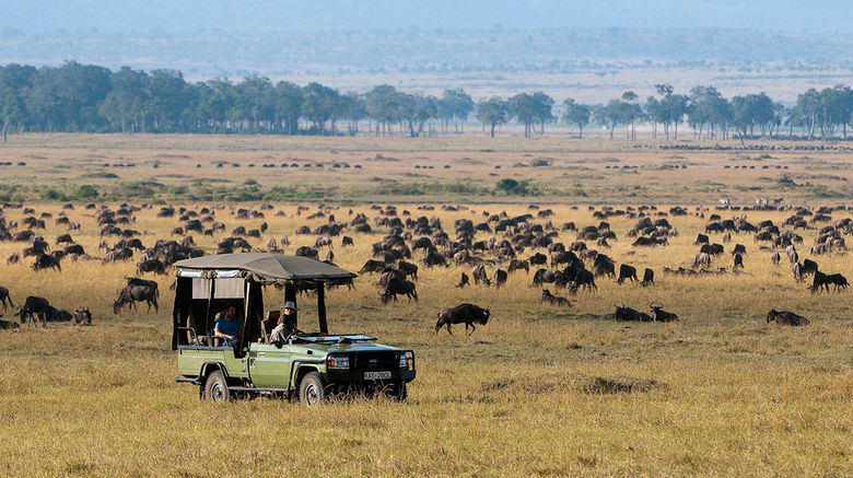 <b>Mara Plains Camp Exterior</b>. Images powered by <a href="https://www.leonardoworldwide.com/" title="Leonardo Worldwide" target="_blank">Leonardo</a>.