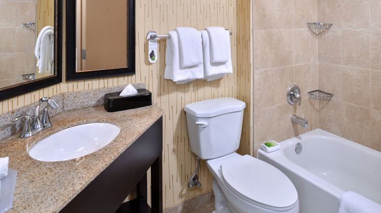 Holiday Inn Express Hunt Valley Room
