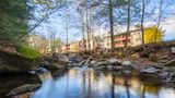 Holiday Inn Club Vacations Oak n' Spruce Other