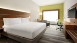 Holiday Inn Exp & Stes Cincinnati South Room