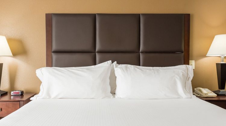 Holiday Inn Express & Suites Hinesville Room