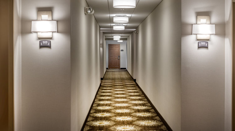 Staybridge Suites: Chantilly - Fairfax Lobby
