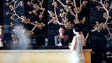 InterContinental Shijiazhuang Lobby