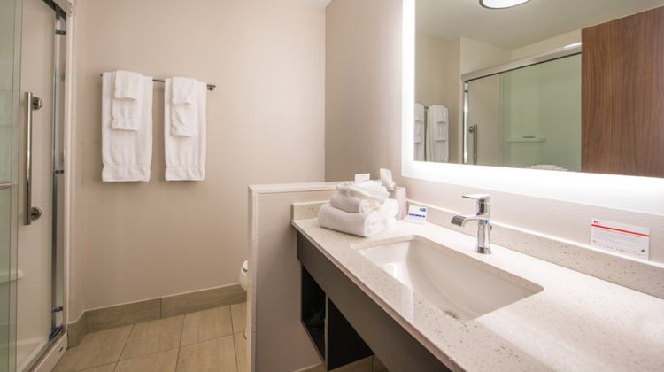 Holiday Inn Express/Suites Wesley Chapel Room