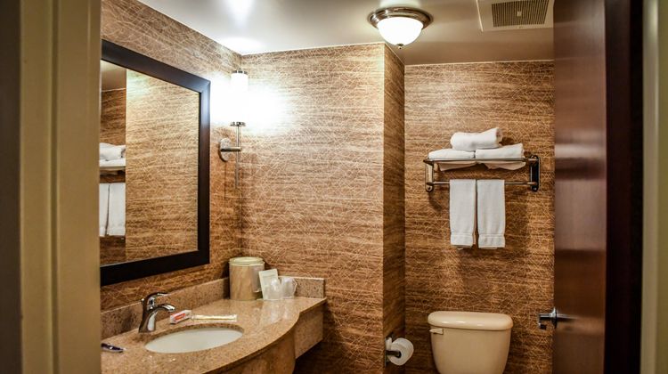 Holiday Inn Express Room
