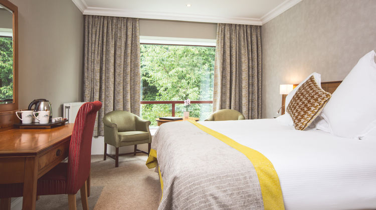 Everglades Hotel Room