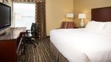 Holiday Inn Dubuque-Galena Room