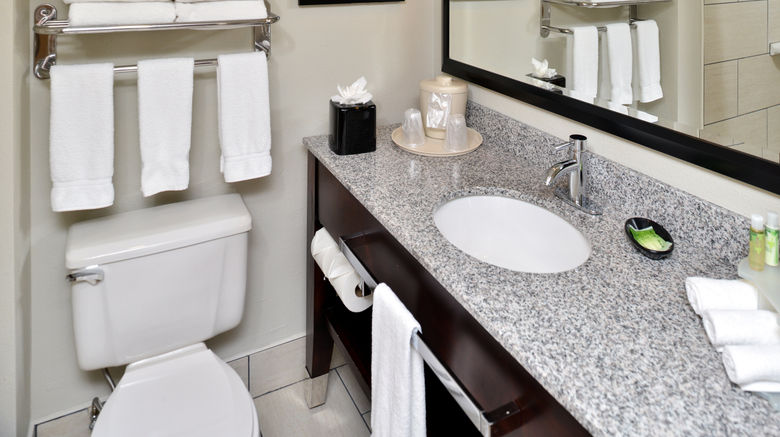 <b>Holiday Inn Express Rocky Point Island Room</b>. Images powered by <a href="https://www.leonardoworldwide.com/" title="Leonardo Worldwide" target="_blank">Leonardo</a>.