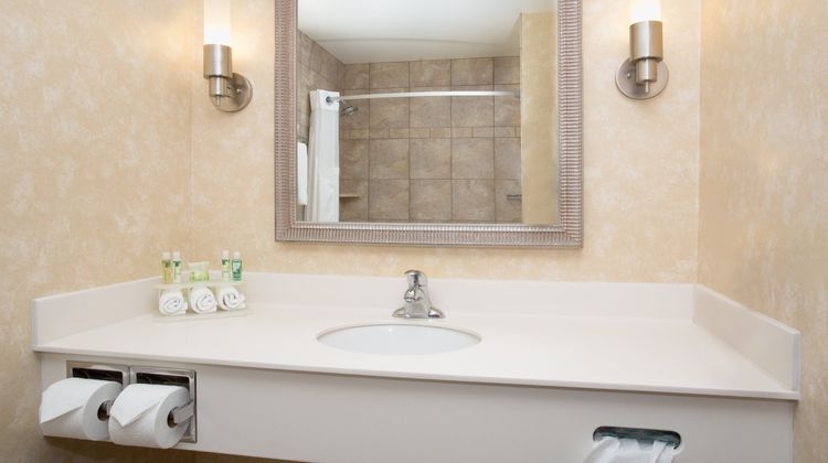 Holiday Inn Express Hotel & Suites Room