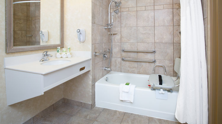 Holiday Inn Express Hotel & Suites Room