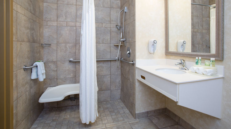 Holiday Inn Express Hotel & Suites Room