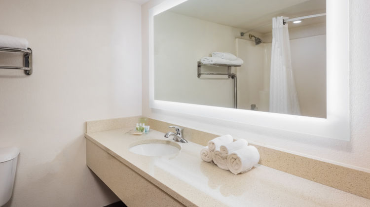 Holiday Inn Saint Louis W at Six Flags Room