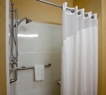 Holiday Inn Express Hotel & Suites Room