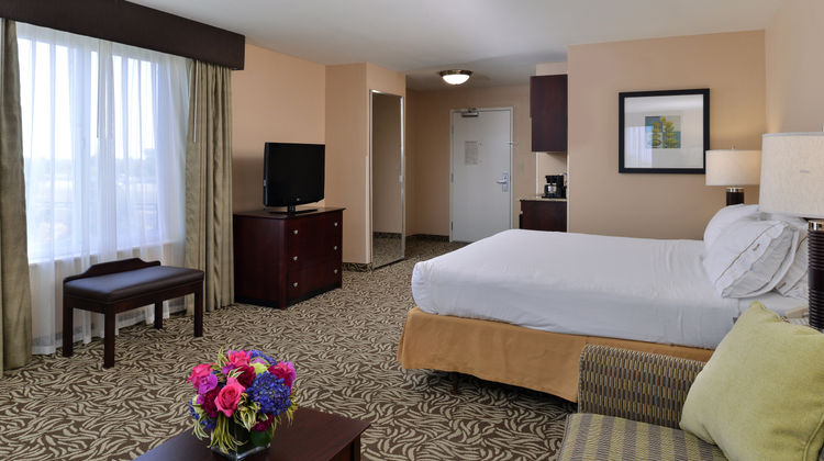 Holiday Inn Express Hotel & Suites Suite