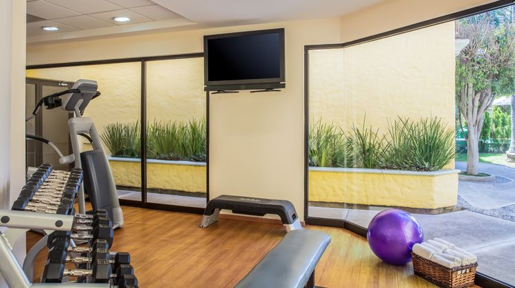 Fiesta Inn Oaxaca Health Club
