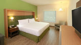 Holiday Inn Chilpancingo Room