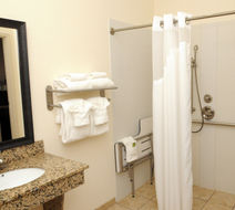 Holiday Inn Express Hotel & Suites Room