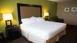 Holiday Inn Express Hotel & Suites Room