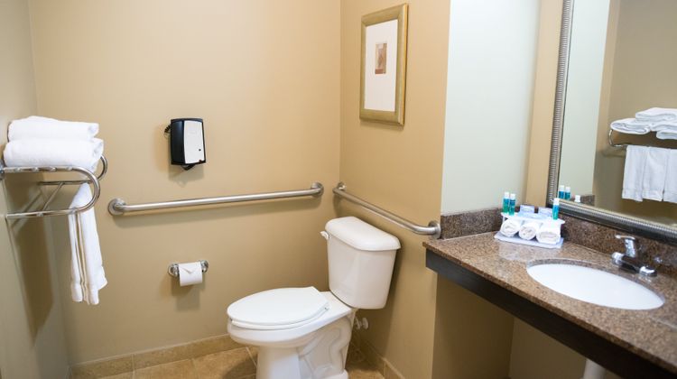 Holiday Inn Express Hotel & Suites Room