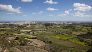 The Xara Palace