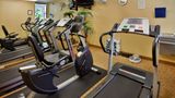 <b>Holiday Inn Express & Suites St. Louis W Health Club</b>. Images powered by <a href="https://www.leonardoworldwide.com/" title="Leonardo Worldwide" target="_blank">Leonardo</a>.