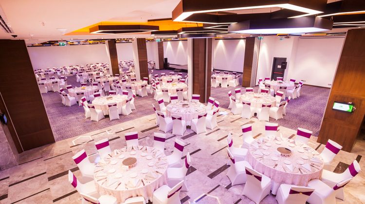 Holiday Inn Kayseri Duvenonu Ballroom