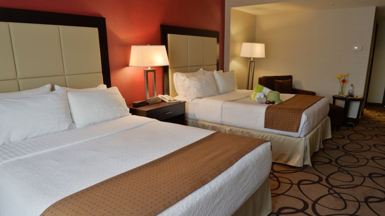 Holiday Inn Centrevillle Downtown Room