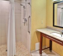 Holiday Inn Express Hotel & Stes Room