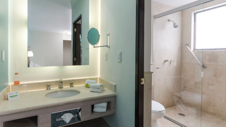 <b>Holiday Inn Hotel & Suites Room</b>. Images powered by <a href="https://www.leonardoworldwide.com/" title="Leonardo Worldwide" target="_blank">Leonardo</a>.
